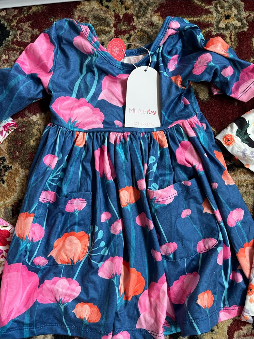 NWT Mila & Rose blue pink Poppies twirl dress 3/4 sleeves with pockets 12-24 mo